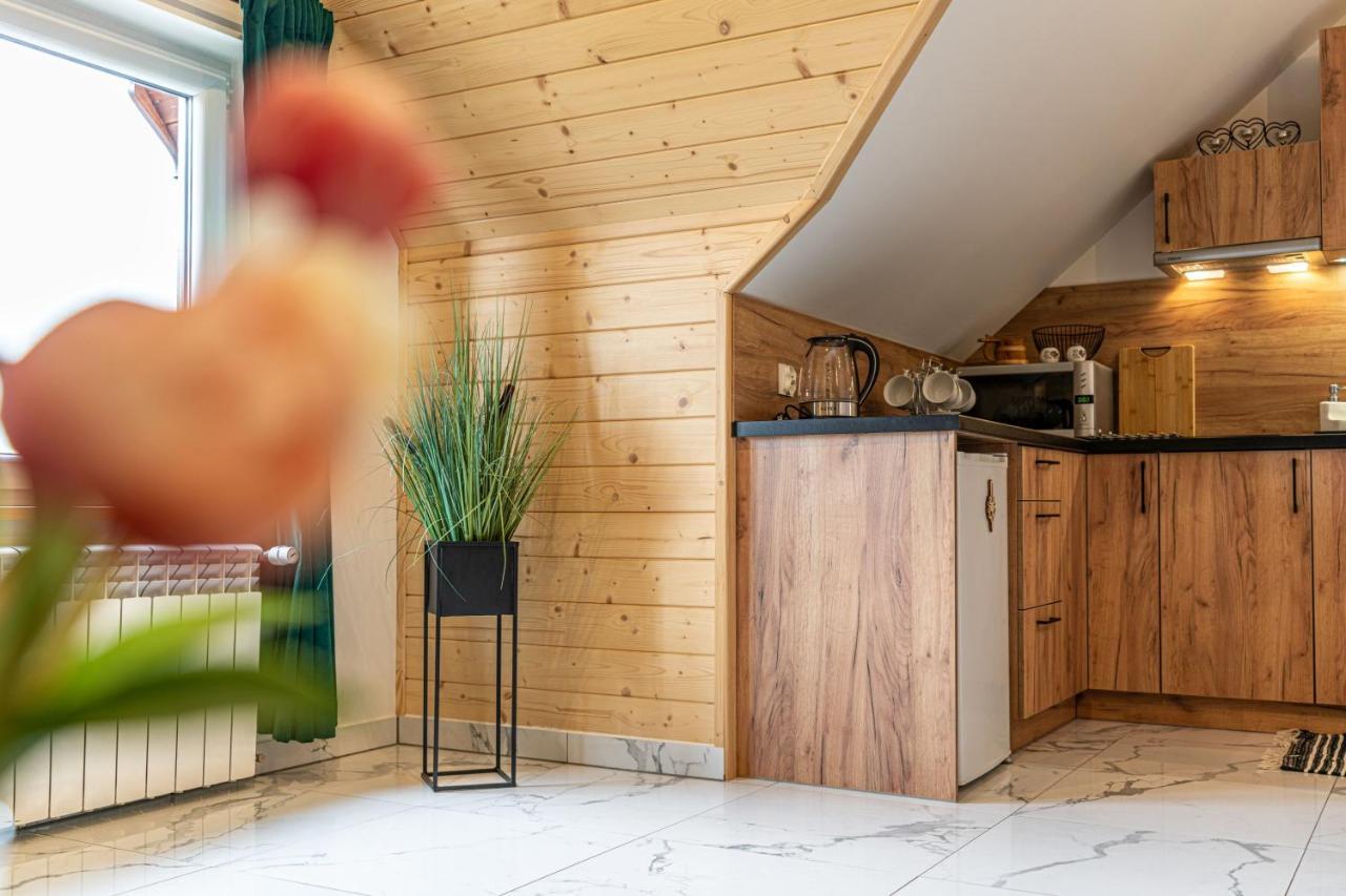 Widokowy Apartament - Pokoje Goscinne Banska Wyzna Buitenkant foto